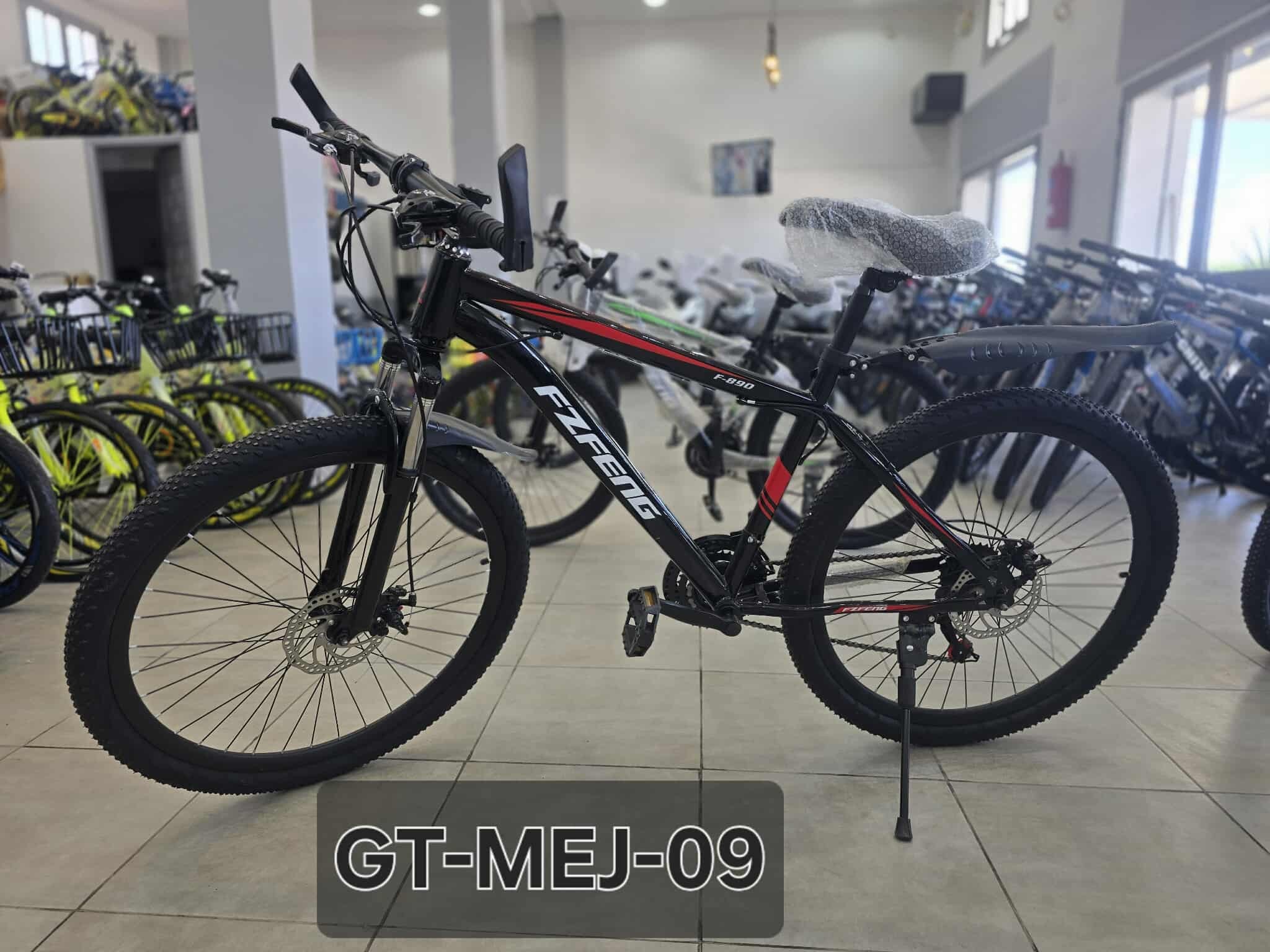 Vue 1 - Vélos GT-MEJ-09