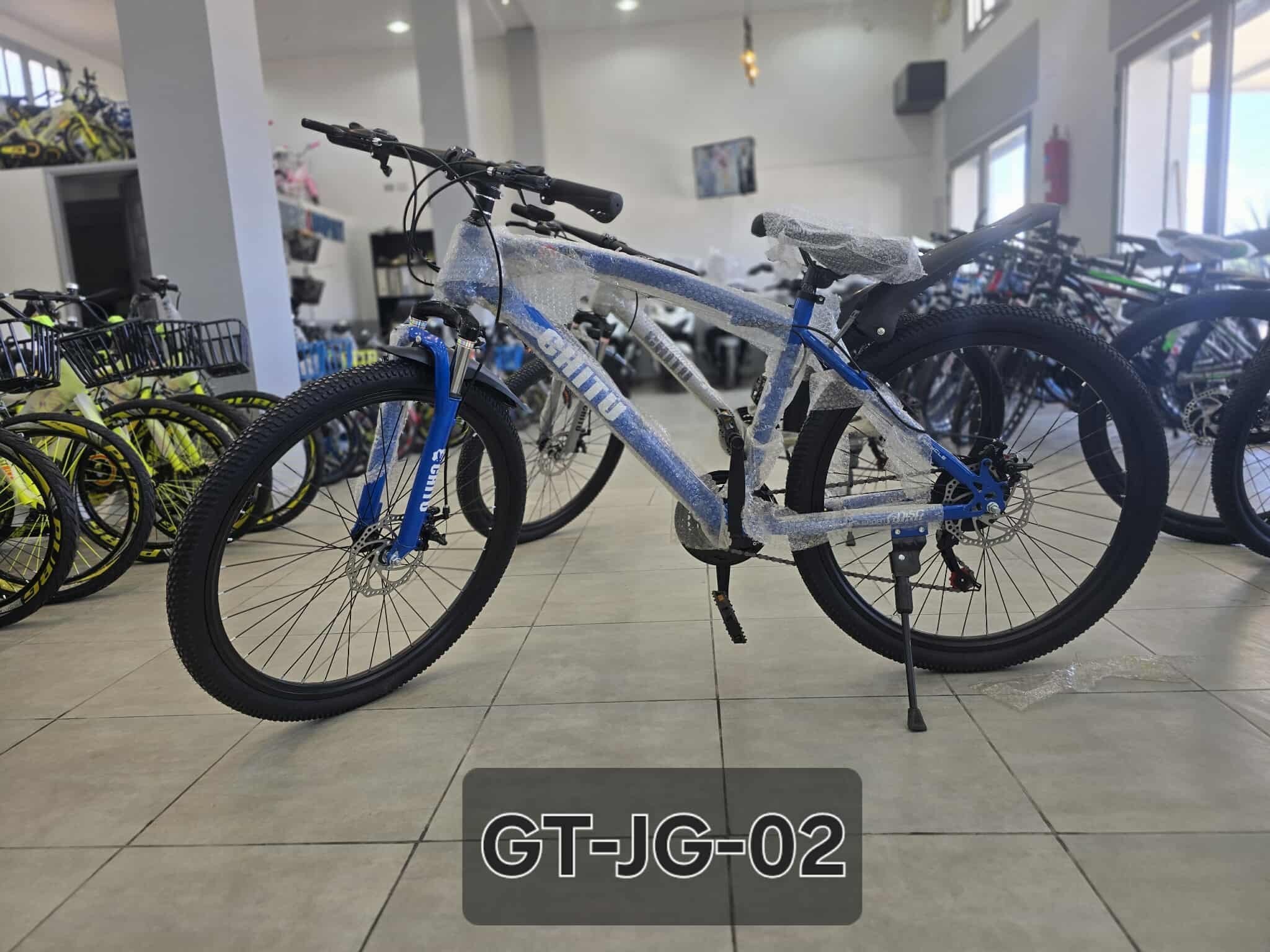 Vue 4 - Vélos GT-JG-02