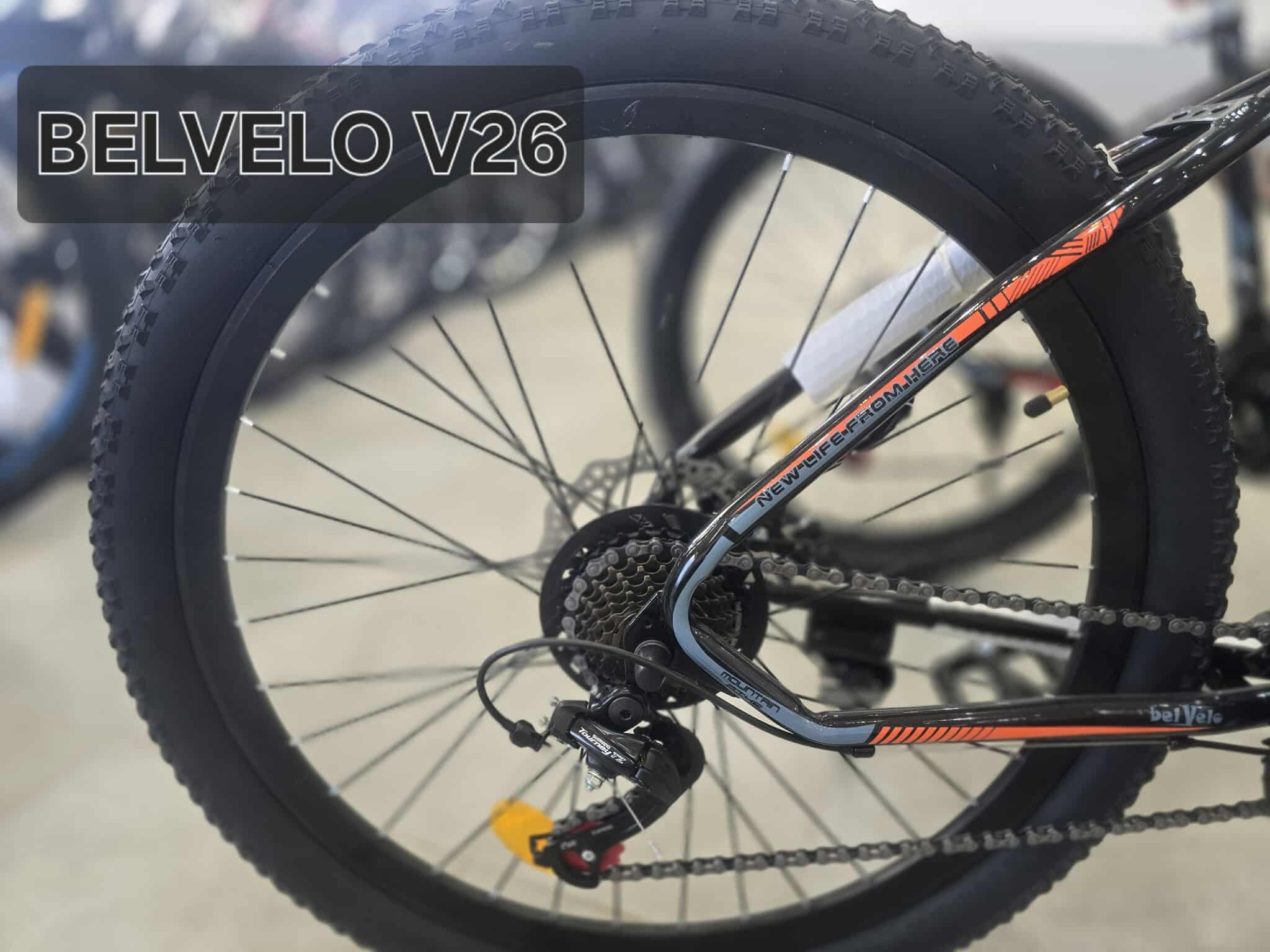 Vélos BELVELO V26 26" vitesse SHIMANO