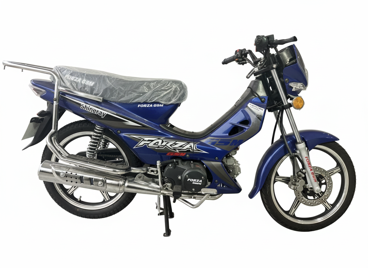 Vue 1 - Forza Gsm Gouia 125